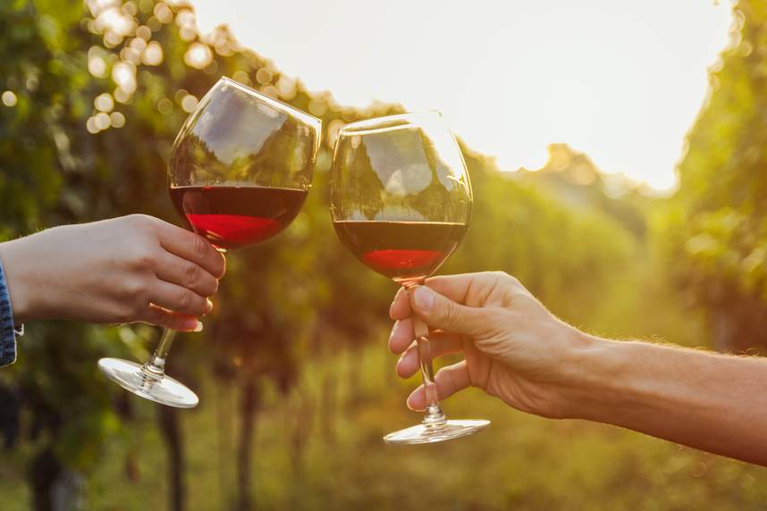 Organic Italian wines: a guide to the perfect choice